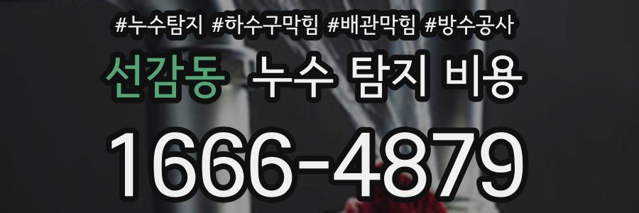 선감동 누수 탐지 비용