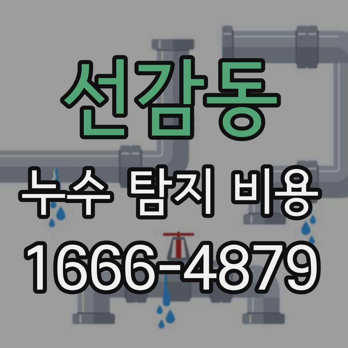 선감동 누수 탐지 비용