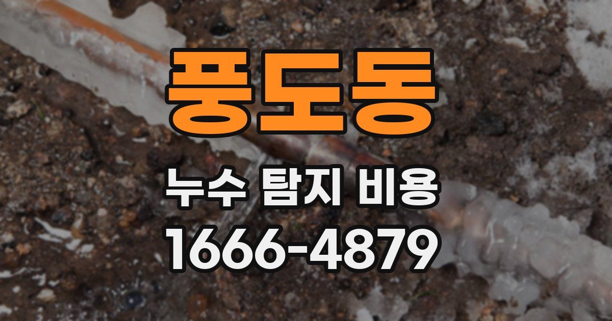 풍도동 누수 탐지 비용