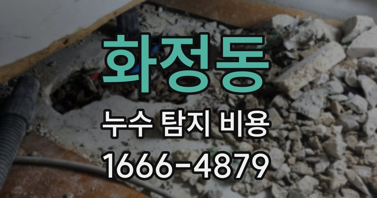 화정동 누수 탐지 비용