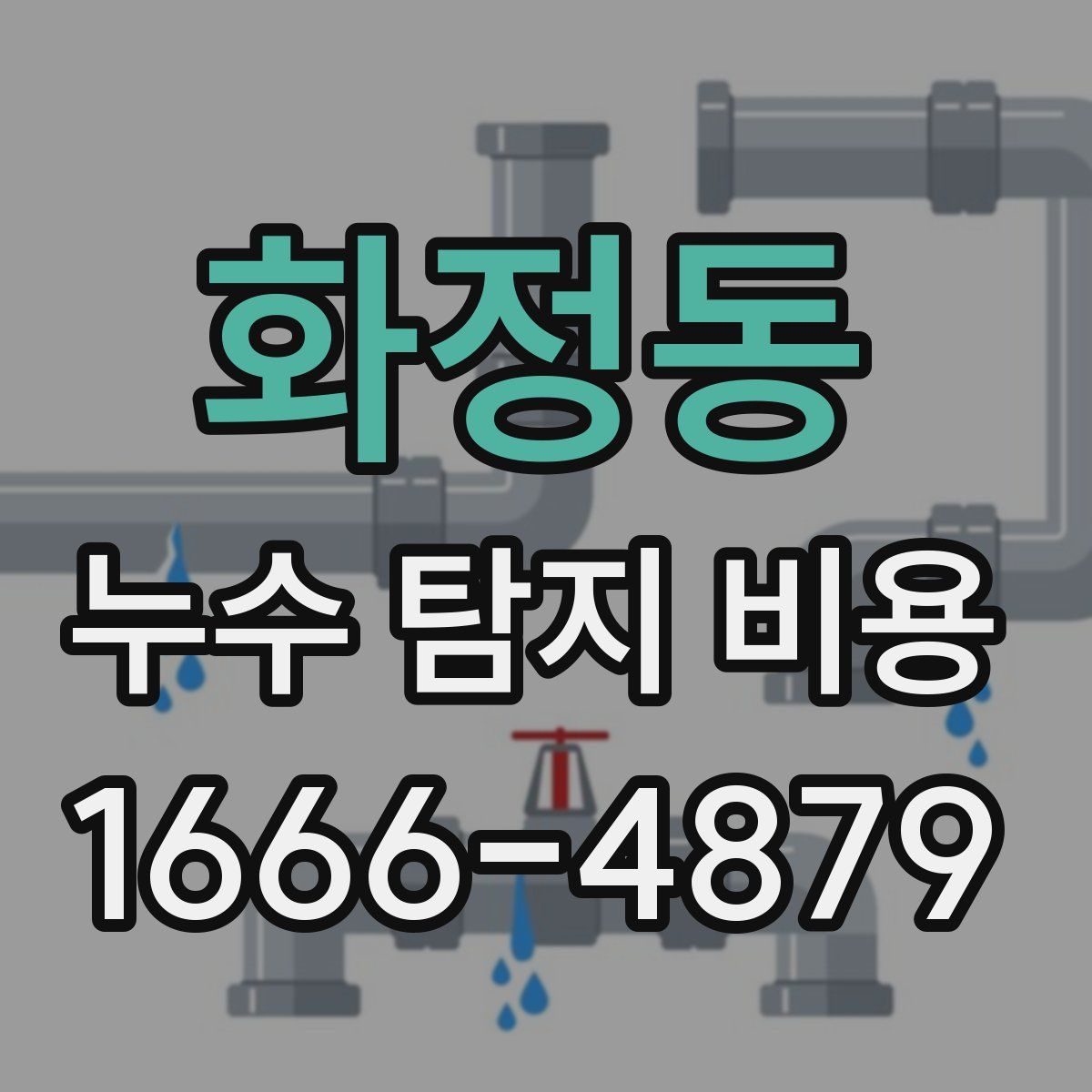 화정동 누수 탐지 비용
