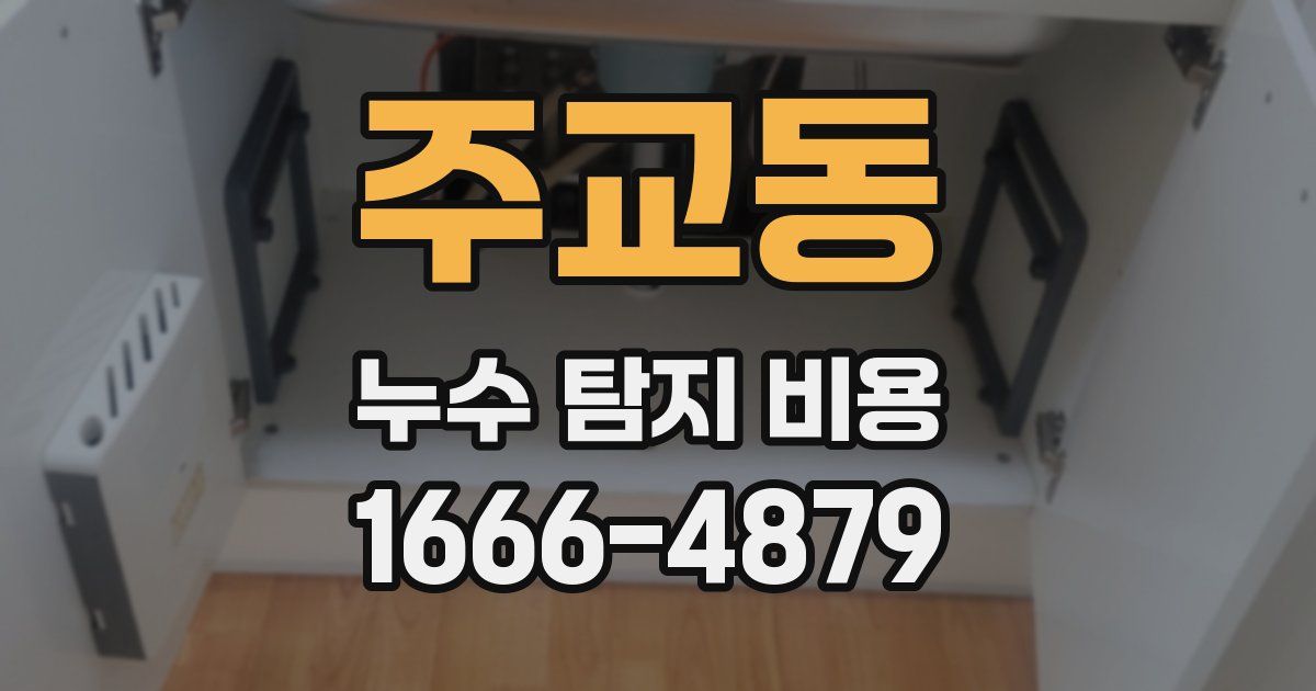 주교동 누수 탐지 비용