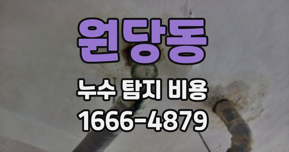 원당동 누수 탐지 비용