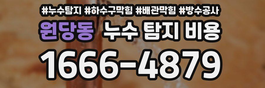 원당동 누수 탐지 비용