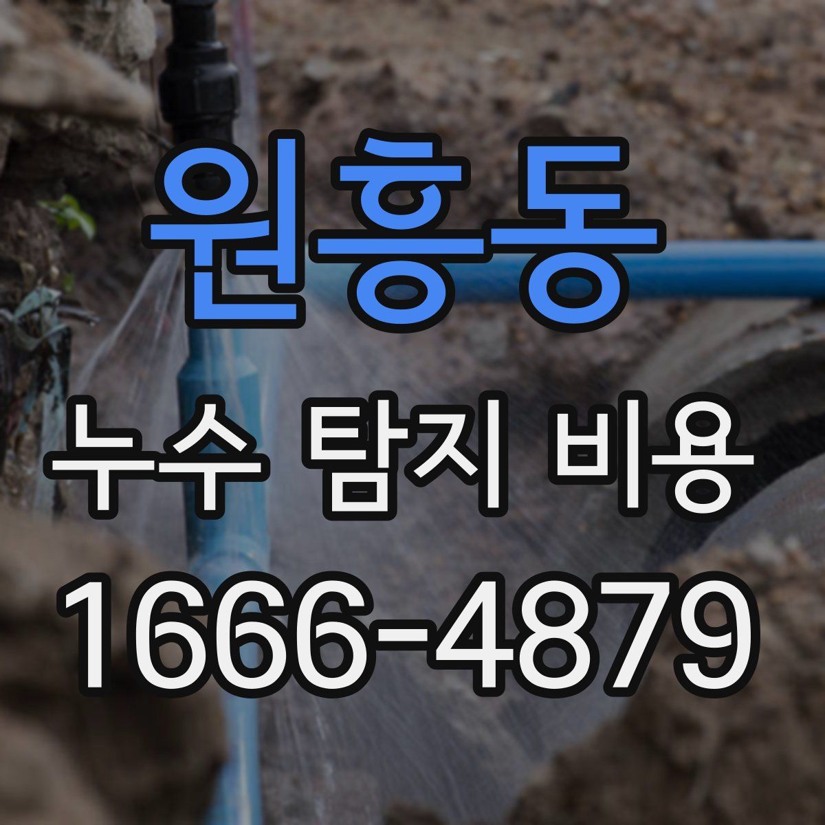 원흥동 누수 탐지 비용