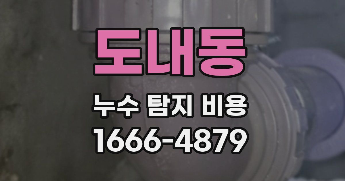 도내동 누수 탐지 비용