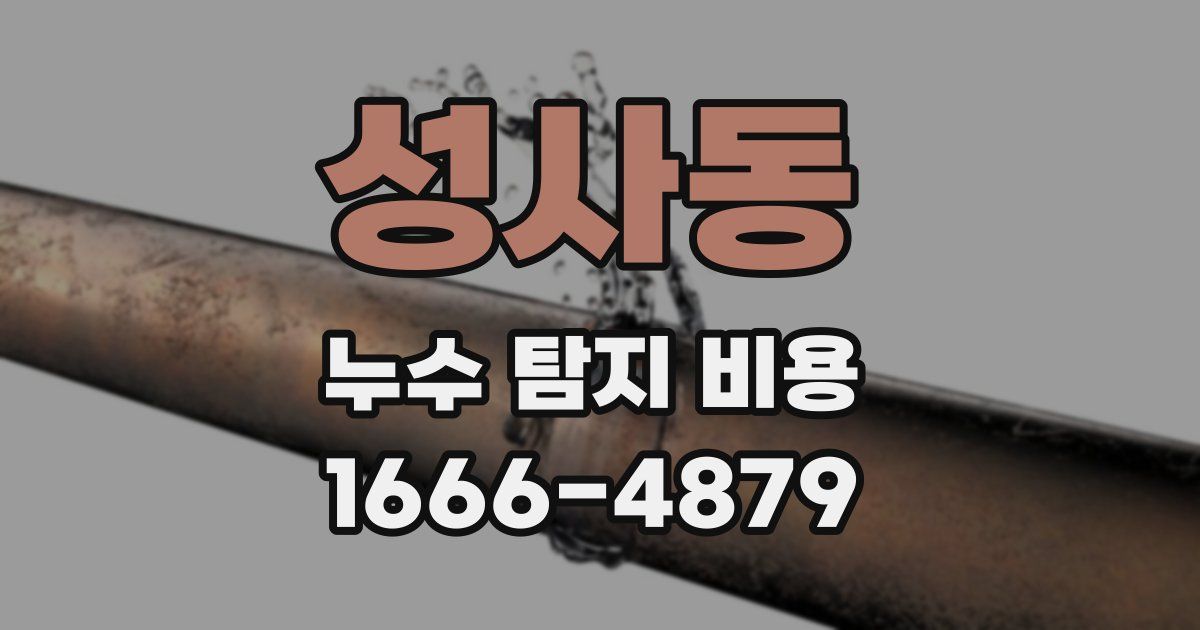 성사동 누수 탐지 비용