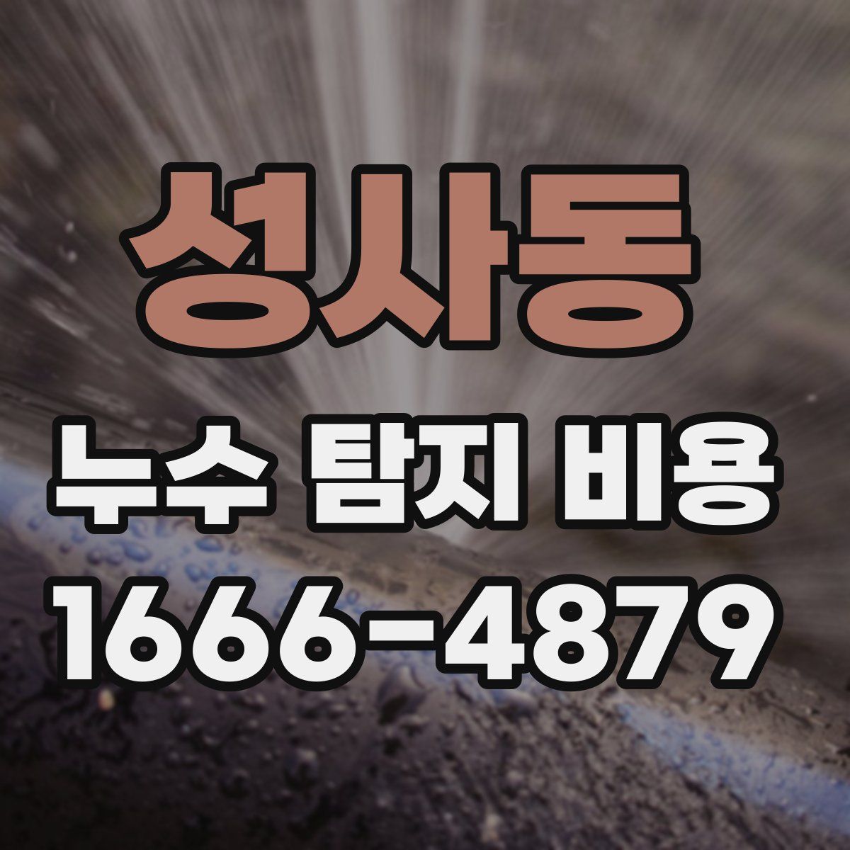 성사동 누수 탐지 비용