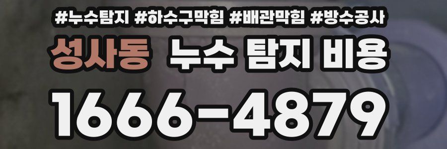 성사동 누수 탐지 비용