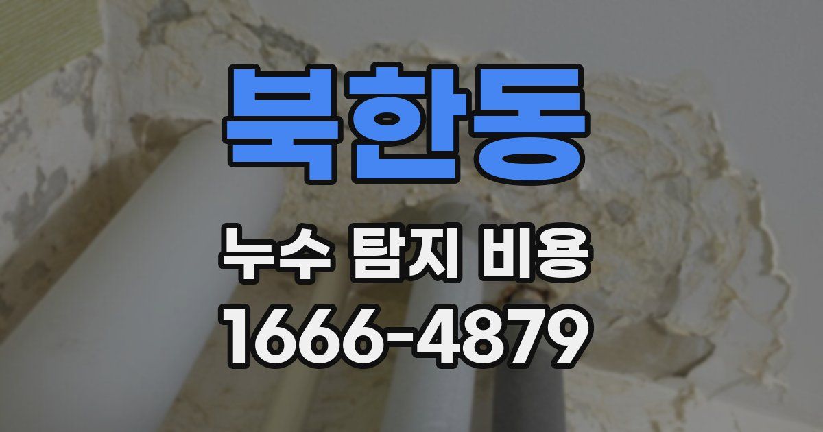 북한동 누수 탐지 비용