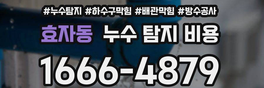 효자동 누수 탐지 비용