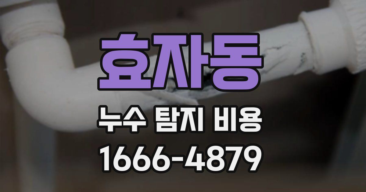 효자동 누수 탐지 비용