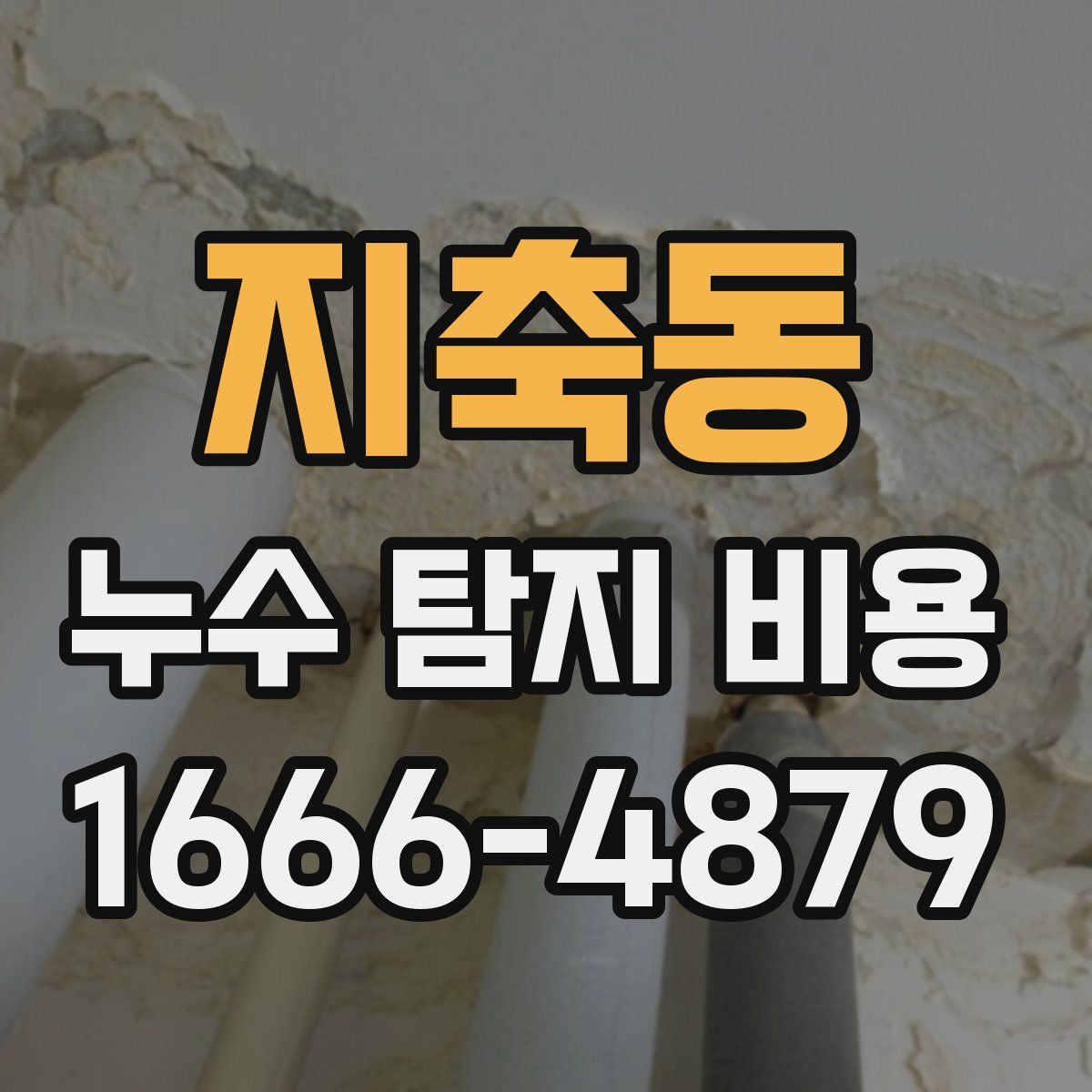 지축동 누수 탐지 비용