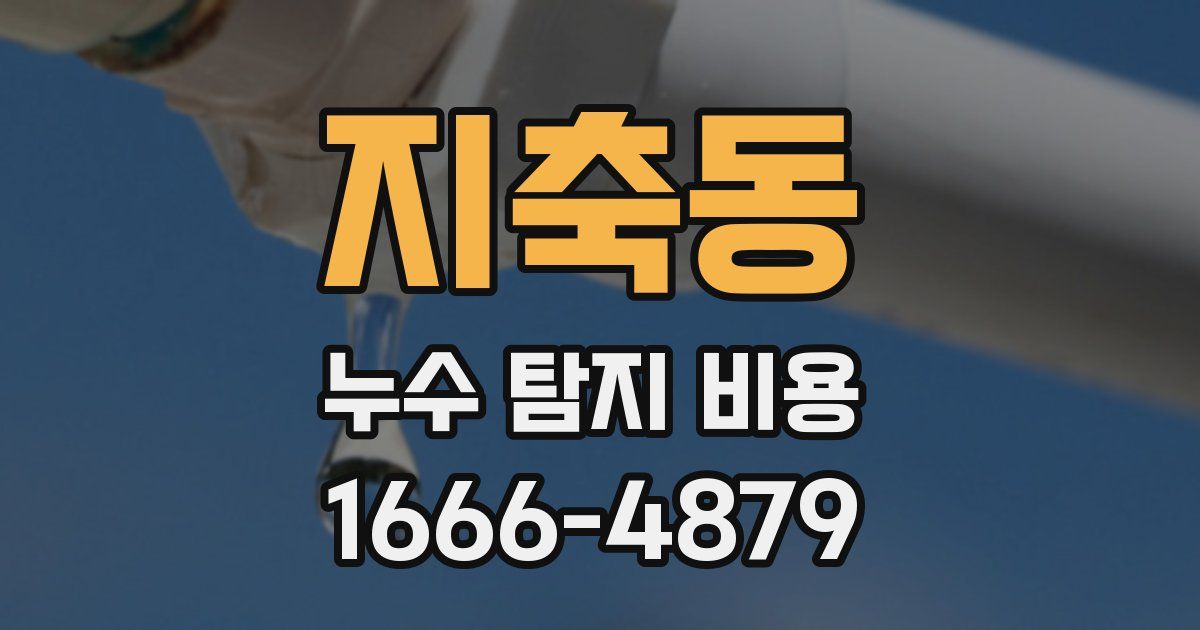 지축동 누수 탐지 비용