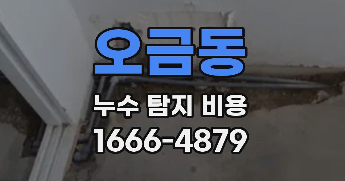 오금동 누수 탐지 비용