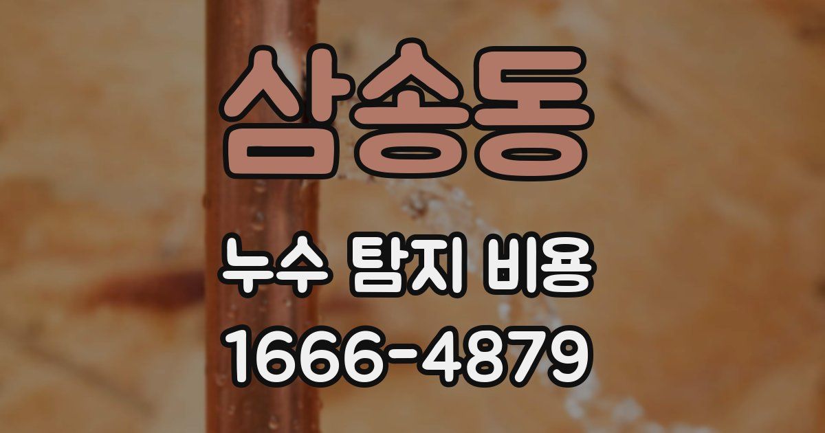 삼송동 누수 탐지 비용