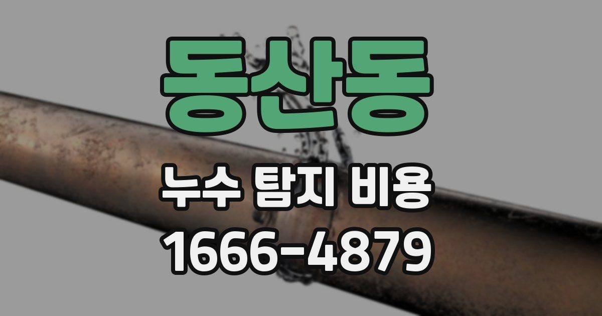 동산동 누수 탐지 비용
