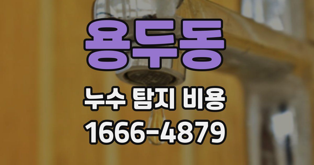 용두동 누수 탐지 비용
