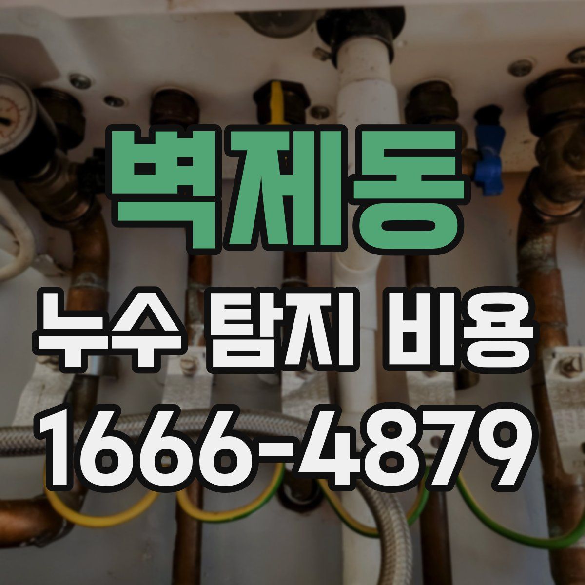 벽제동 누수 탐지 비용