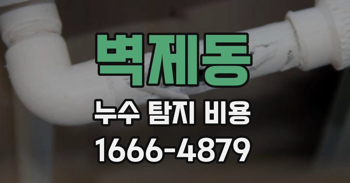 벽제동 누수 탐지 비용