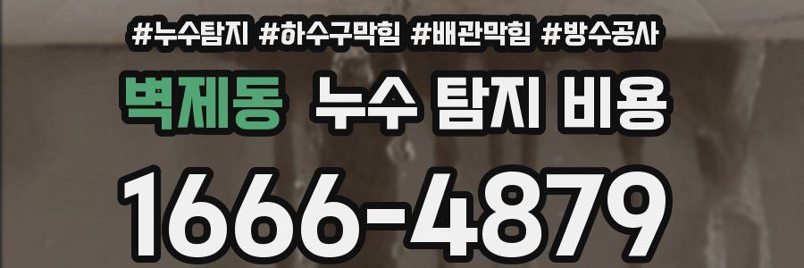 벽제동 누수 탐지 비용