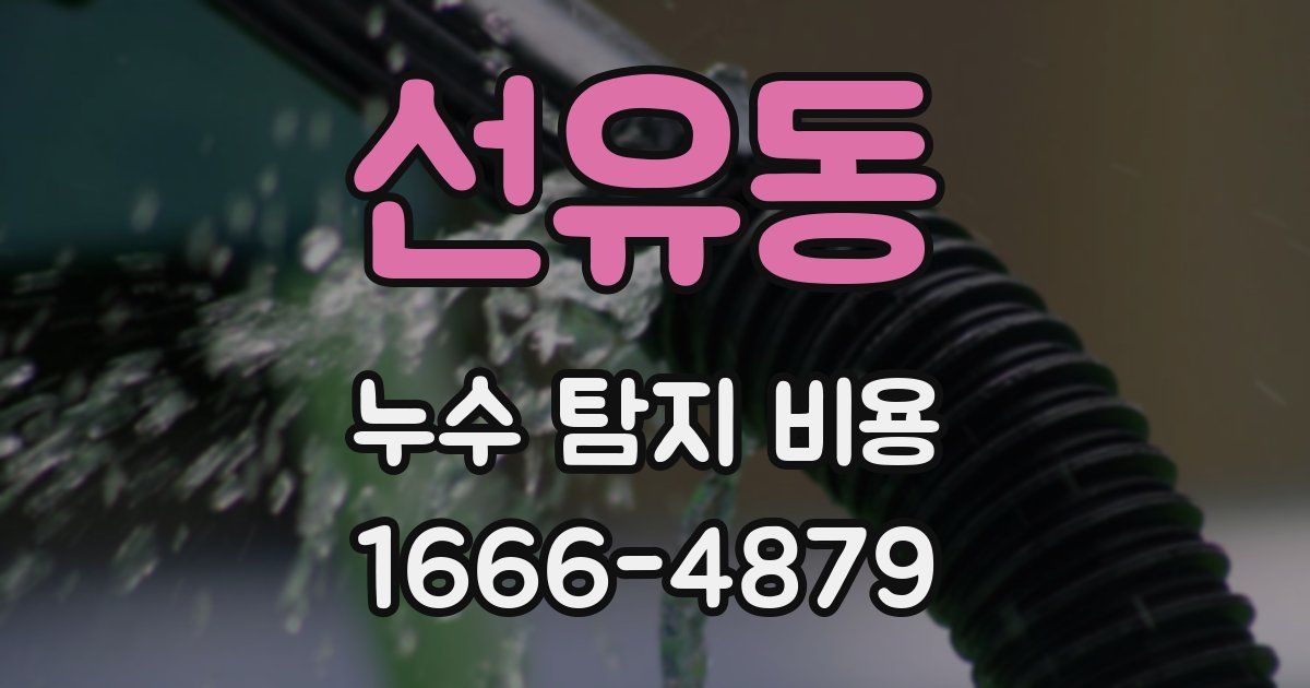 선유동 누수 탐지 비용
