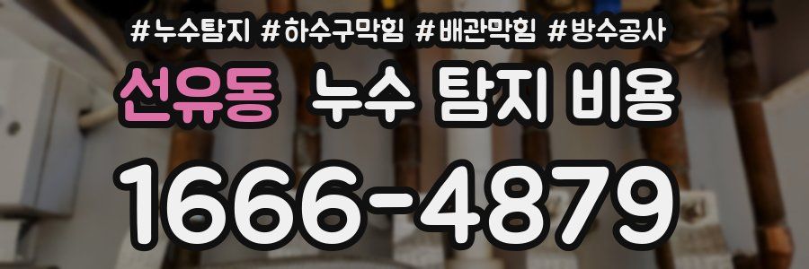 선유동 누수 탐지 비용