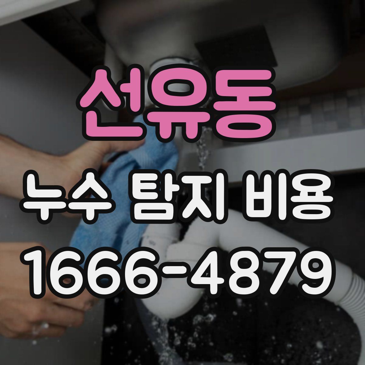 선유동 누수 탐지 비용