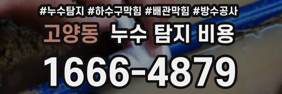 고양동 누수 탐지 비용