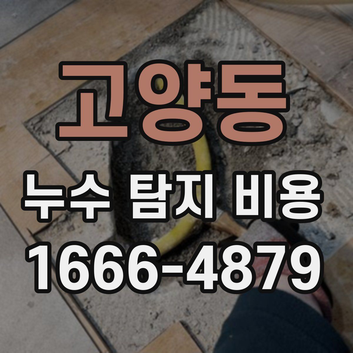 고양동 누수 탐지 비용