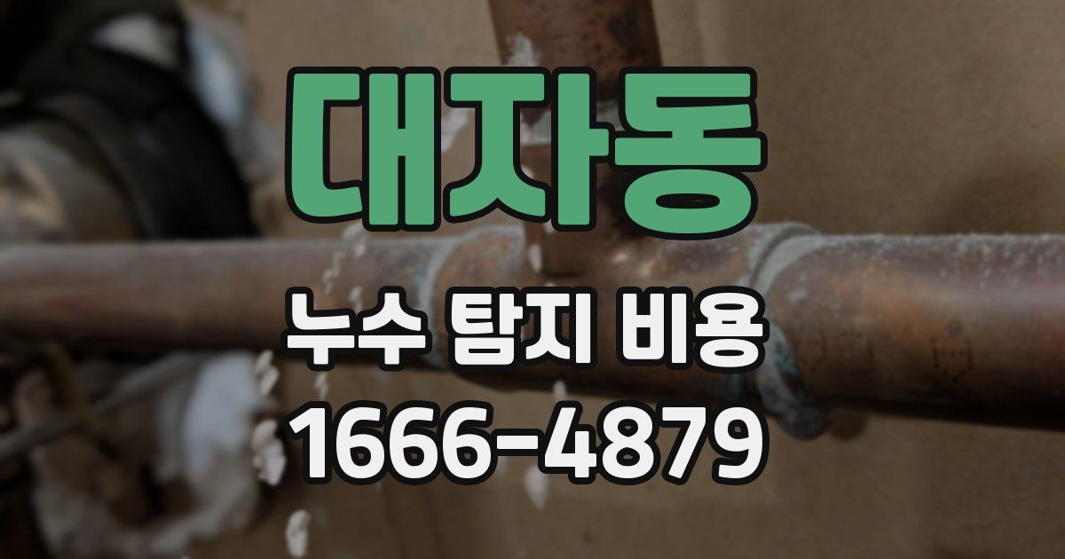 대자동 누수 탐지 비용