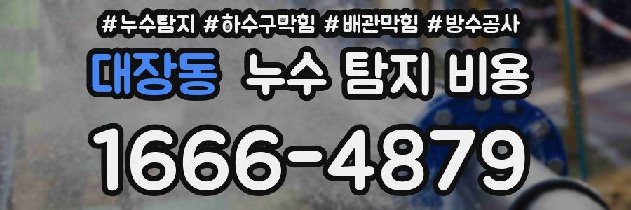 대장동 누수 탐지 비용