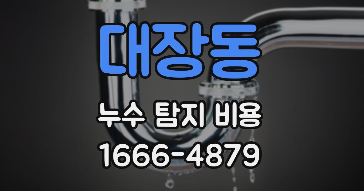 대장동 누수 탐지 비용