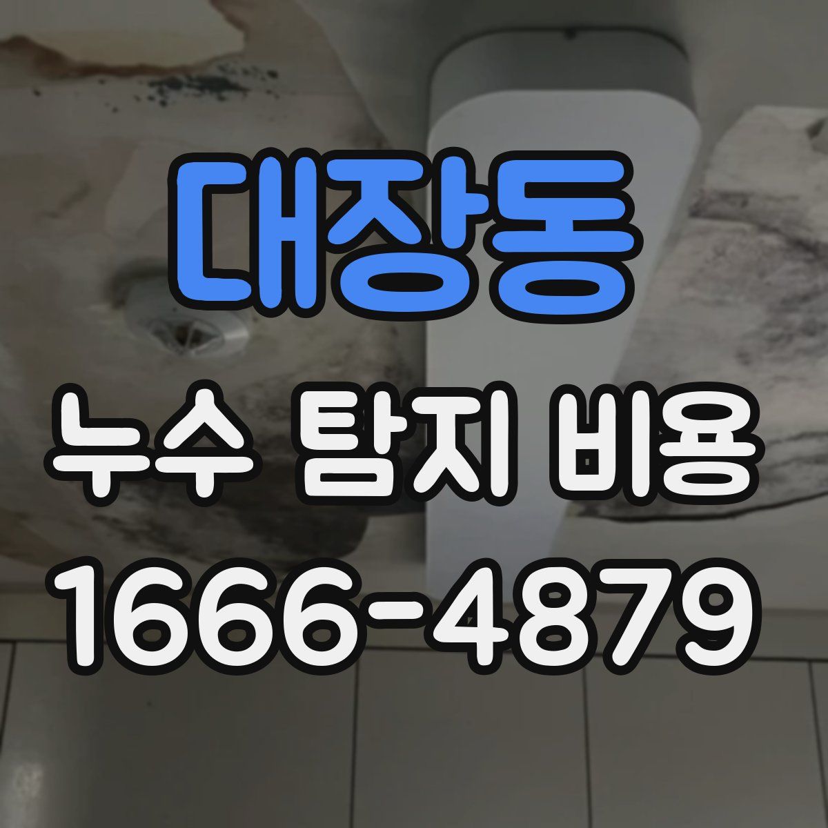 대장동 누수 탐지 비용
