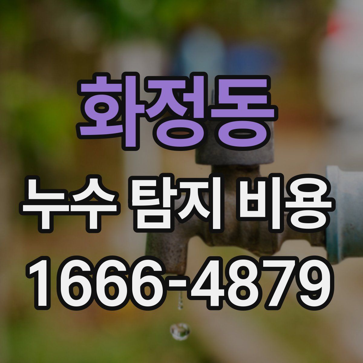화정동 누수 탐지 비용