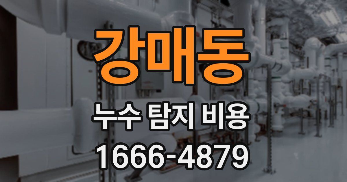 강매동 누수 탐지 비용