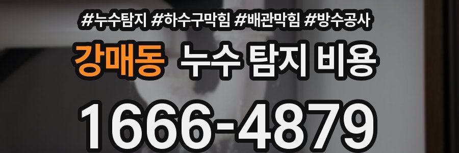 강매동 누수 탐지 비용