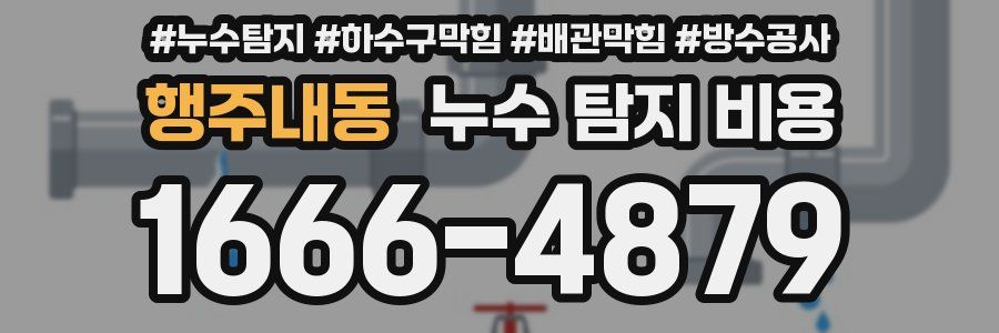 행주내동 누수 탐지 비용