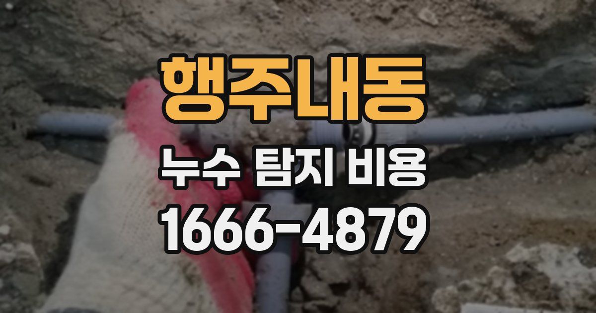 행주내동 누수 탐지 비용