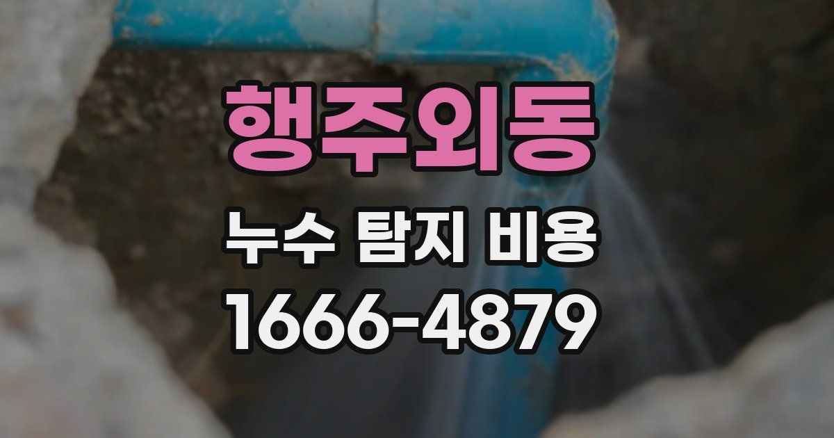 행주외동 누수 탐지 비용