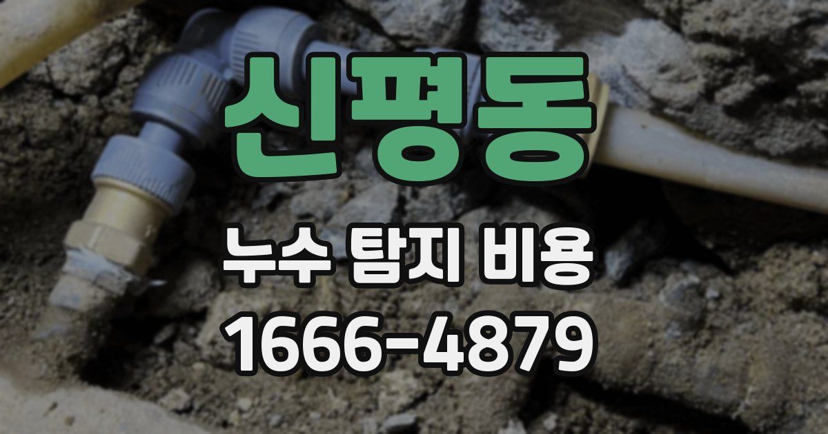 신평동 누수 탐지 비용