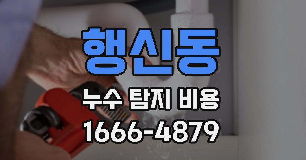 행신동 누수 탐지 비용