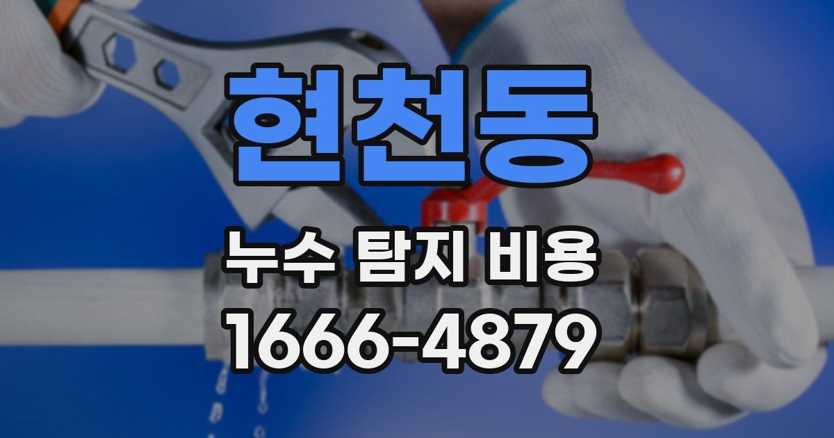 현천동 누수 탐지 비용