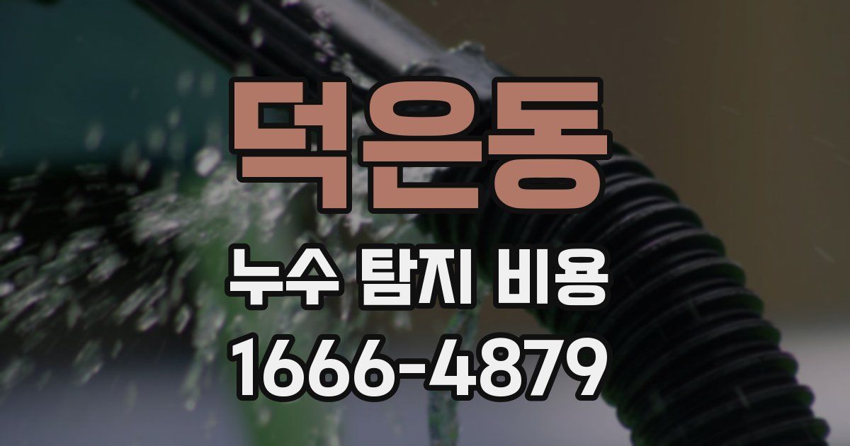덕은동 누수 탐지 비용