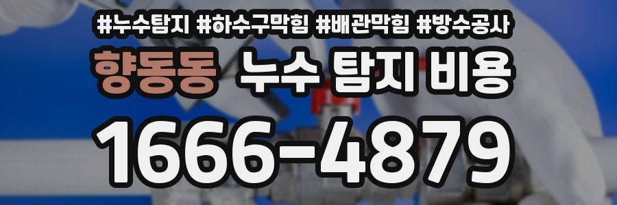 향동동 누수 탐지 비용