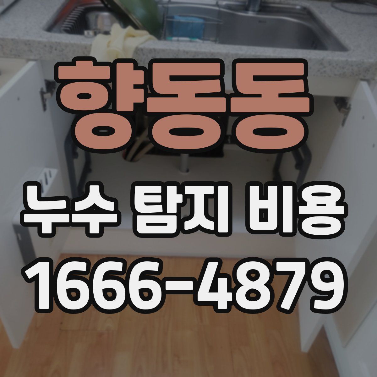 향동동 누수 탐지 비용