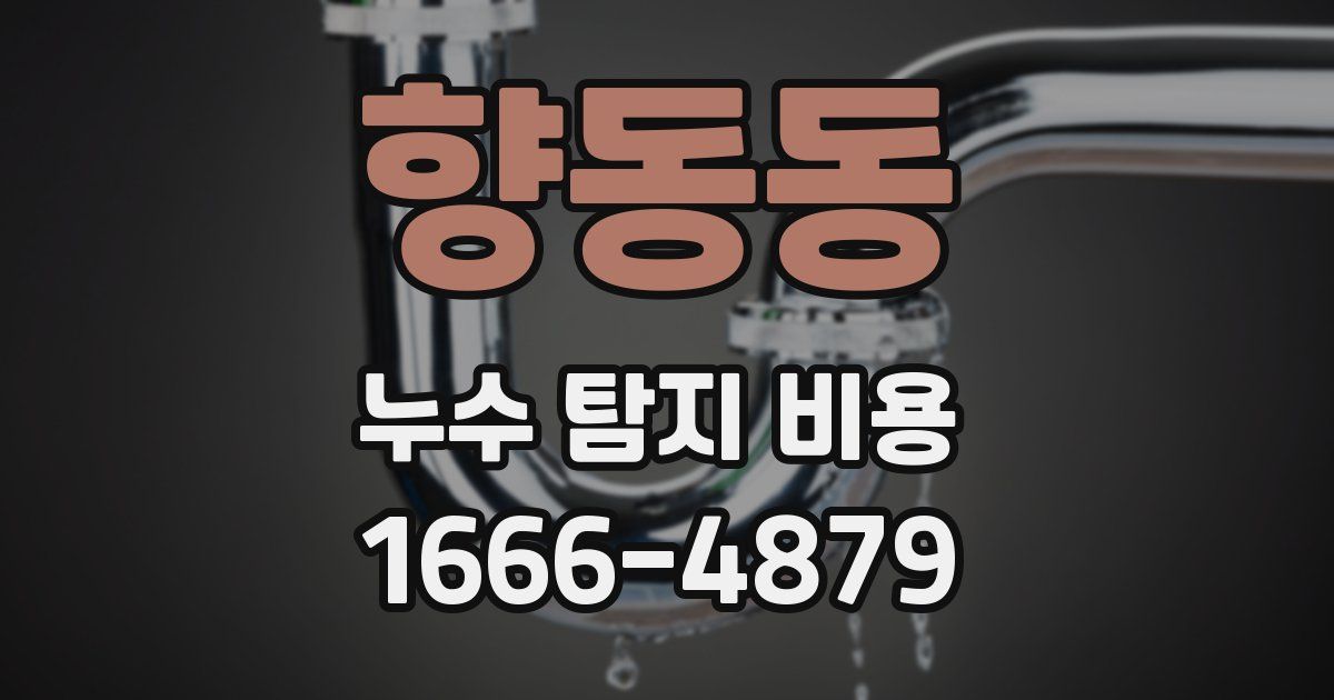 향동동 누수 탐지 비용