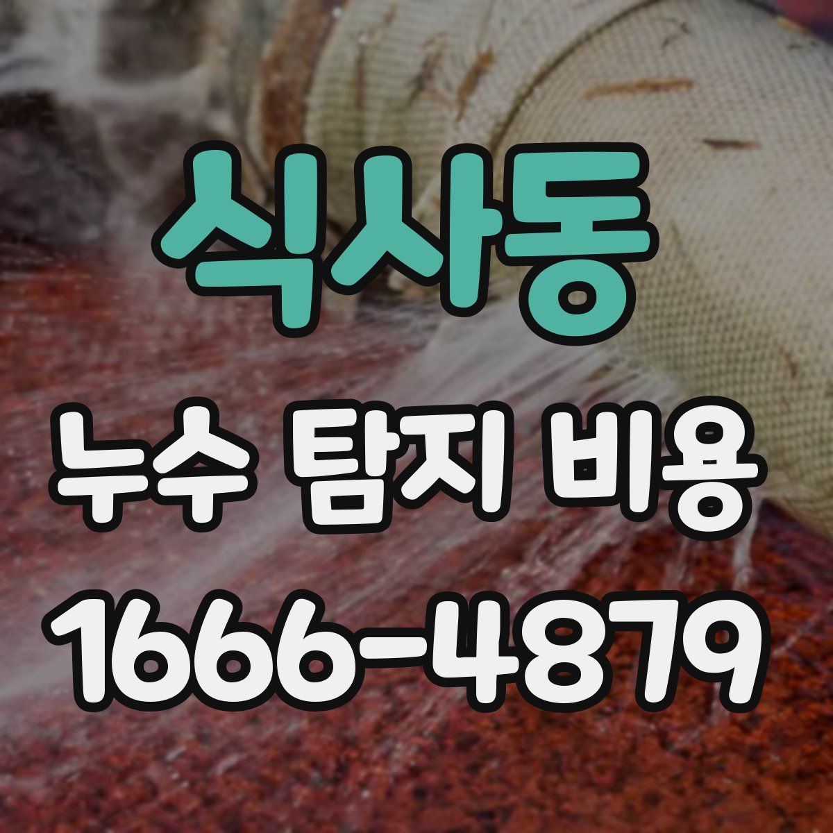 식사동 누수 탐지 비용
