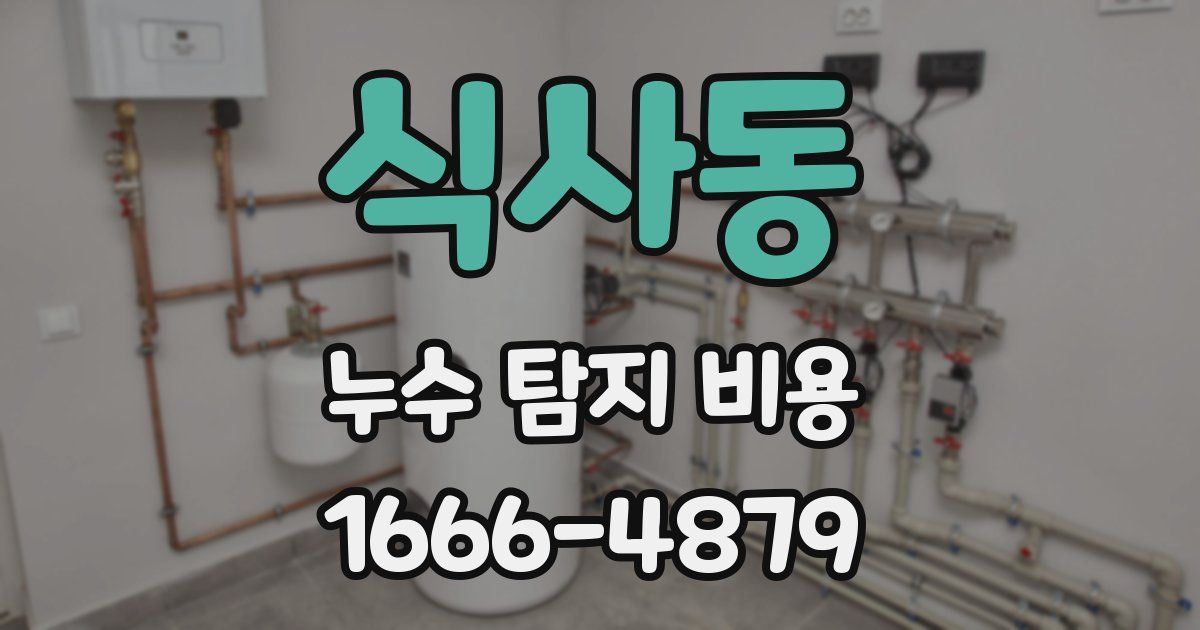 식사동 누수 탐지 비용