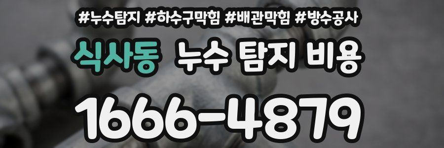 식사동 누수 탐지 비용